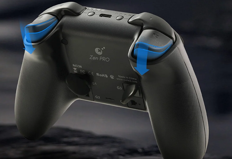 Programmable Rear Paddle System