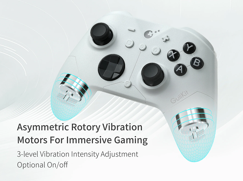 Asymmetric Rotary Vibration Motors