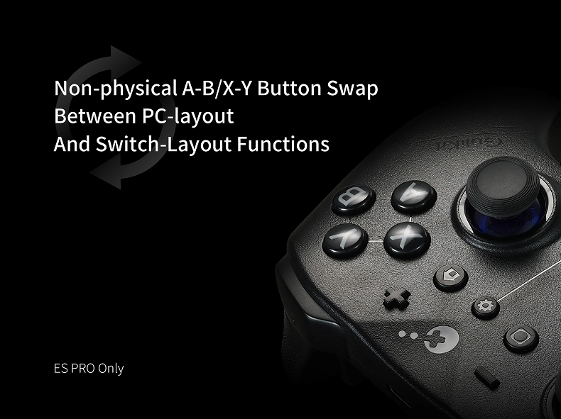 Non-physical A-B/X-Y Button Swap Between PC-layout And Switch-Layout Functions